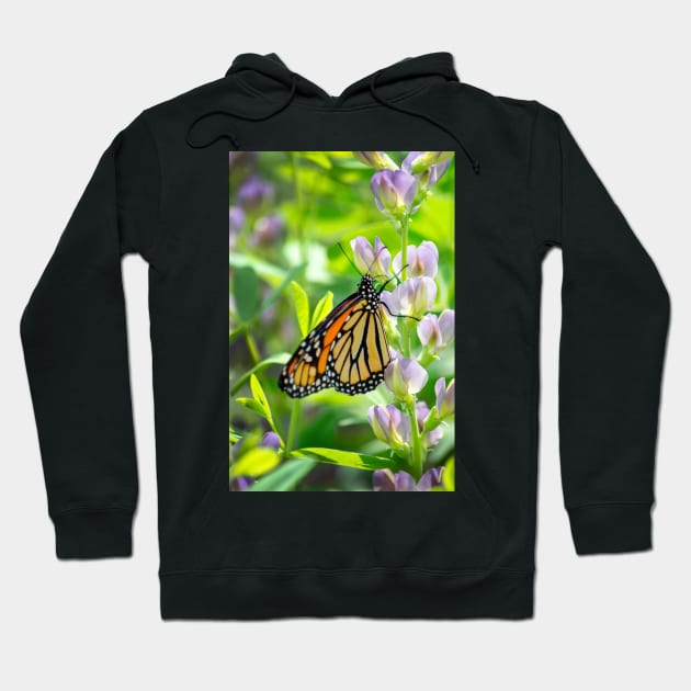 Monarch butterfly enjoys a sip from a flower Hoodie by iyd39